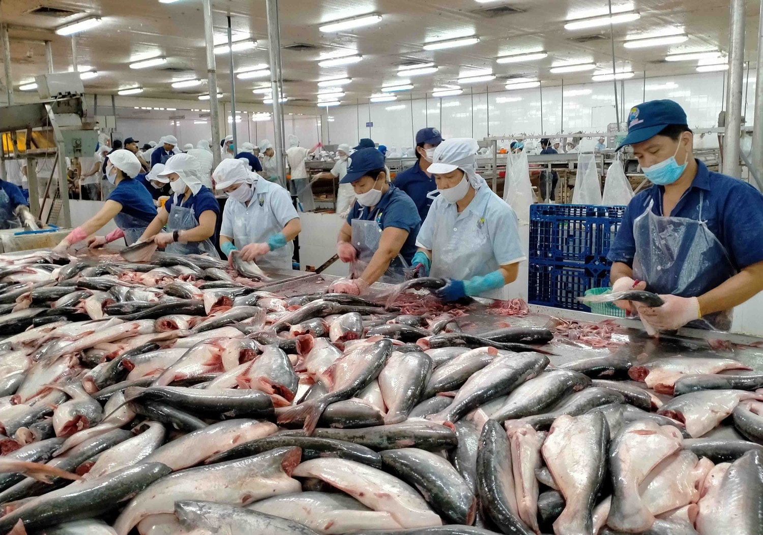 Công nghệ giúp doanh nghiệp 