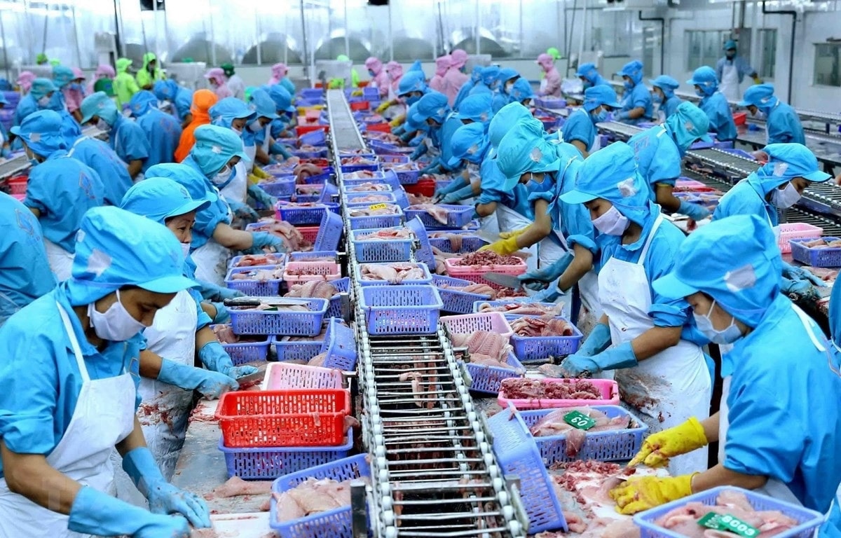 Phấn đấu đến năm 2025, 100% cơ sản xuất, kinh doanh nông, lâm, thủy sản được chứng nhận đủ điều kiện bảo đảm ATTP