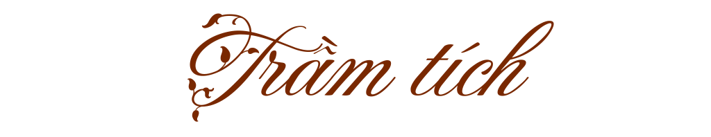 Trầm tích -0