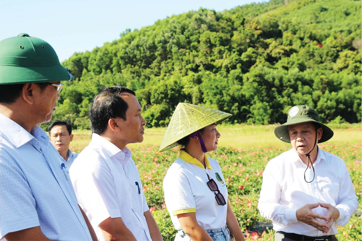 Phó Bí thư Thường trực Tỉnh ủy Phan Ngọc Thọ thăm mô hình trồng sâm Bố Chính. ảnh A.PHONG