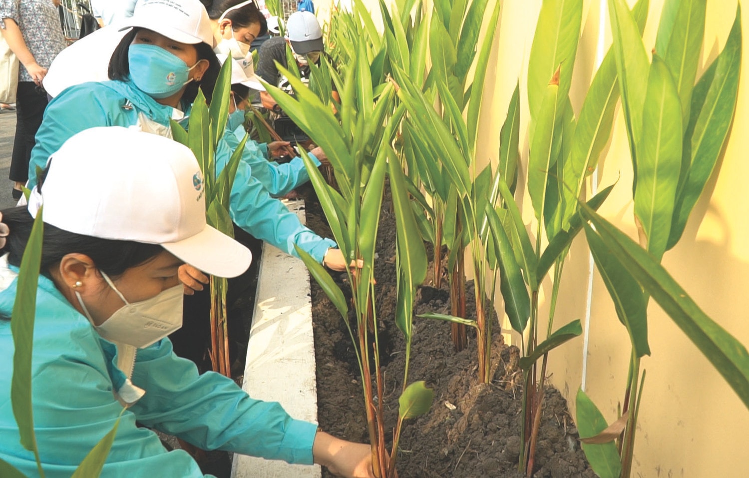 Người dân Quận 6, TP. Hồ Chí Minh trồng cây xanh, góp phần cải thiện môi trường sống. Nguồn: ITN