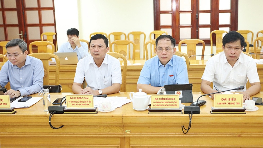 Đoàn giám sát của Ủy ban Đối ngoại làm việc tại Hà Tĩnh -0