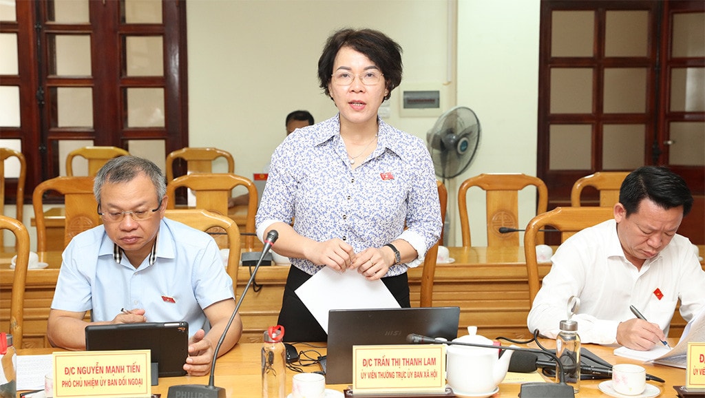 Đoàn giám sát của Ủy ban Đối ngoại làm việc tại Hà Tĩnh -3