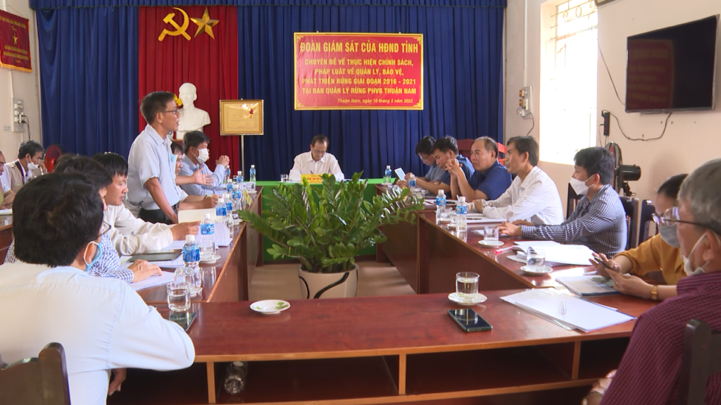 hđnd tỉnh ninh thuận giám sát công tác quản lý, bảo vệ, phát triển rừng phòng hộ ven biển thuận nam - ảnh ntv.png -0