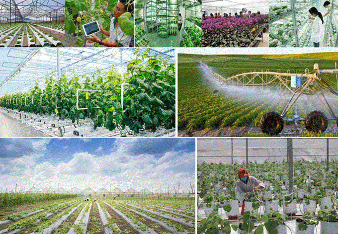 Hà Nội nhân rộng mô hình nông nghiệp ứng dựng công nghệ cao trong sản xuất, chất lượng, tăng giá trị