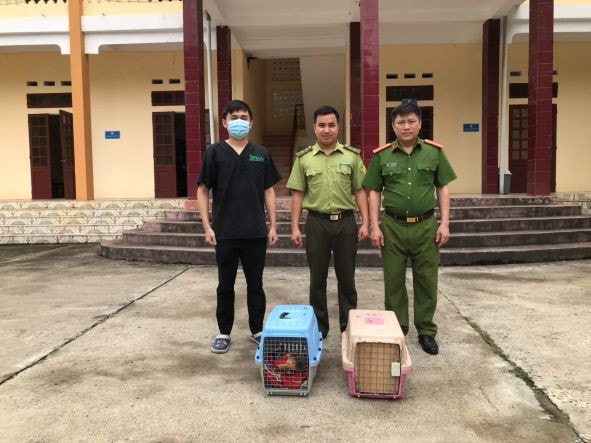 Cứu hộ thành công hai cá thể Cầy vằn bắc quý hiếm khỏi buôn bán trái phép -0