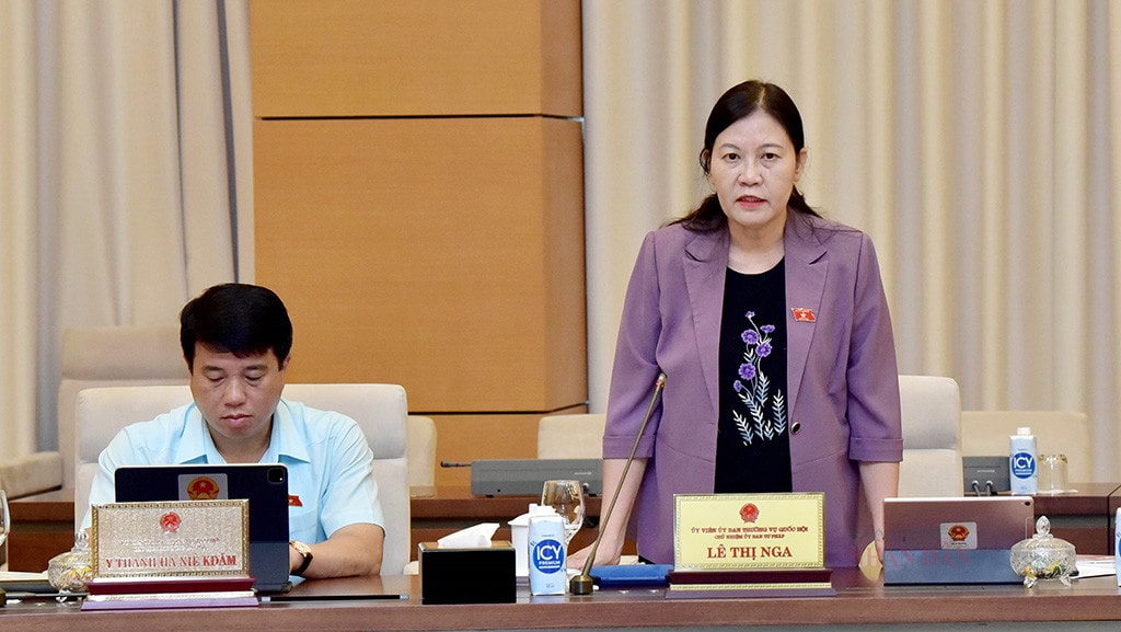 Thực hiện giao đất, cho thuê đất chủ yếu thông qua đấu giá quyền sử dụng đất -4