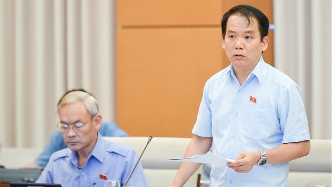 Chủ nhiệm Ủy ban Pháp luật Hoàng Thanh Tùng phát biểu tại Phiên họp Ảnh: Phạm Thắng