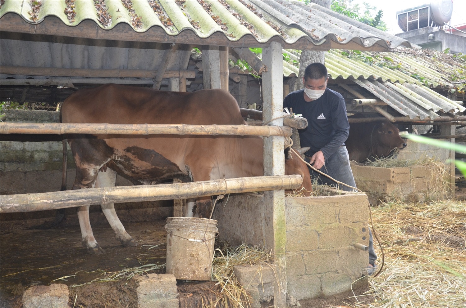 Phát huy hiệu quả từ tín dụng chính sách -0