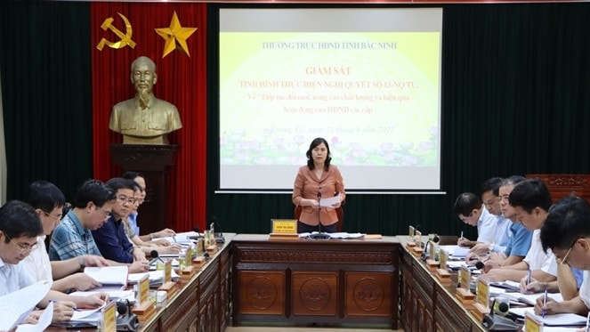 Thường trực HĐND tỉnh giám sát tại huyện Lương Tài