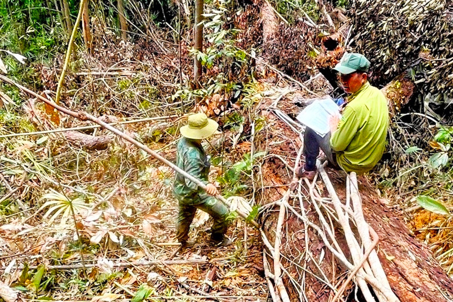 Khen thưởng nóng vụ phá rừng quy mô lớn tại tỉnh Kon Tum -0