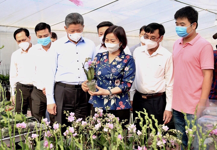 Ủy viên Trung ương Đảng, Phó Bí thư Thường trực Thành ủy Hà Nội Nguyễn Thị Tuyến cùng đoàn công tác thăm mô hình trồng hoa lan ứng dụng công nghệ cao tại Thanh Oai