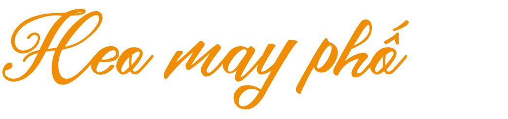 Heo may phố -0