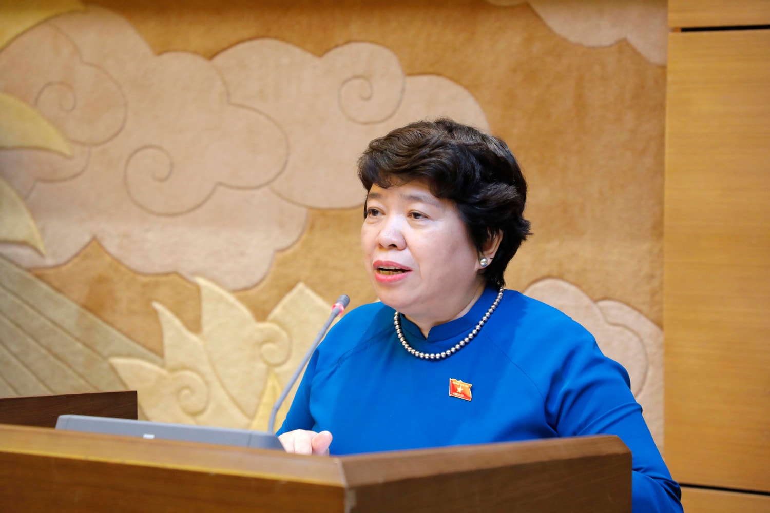 Phó Chủ tịch Thường trực Quốc hội Trần Thanh Mẫn gặp mặt nữ lãnh đạo, nữ đại biểu Quốc hội, HĐND tỉnh Nghệ An -0
