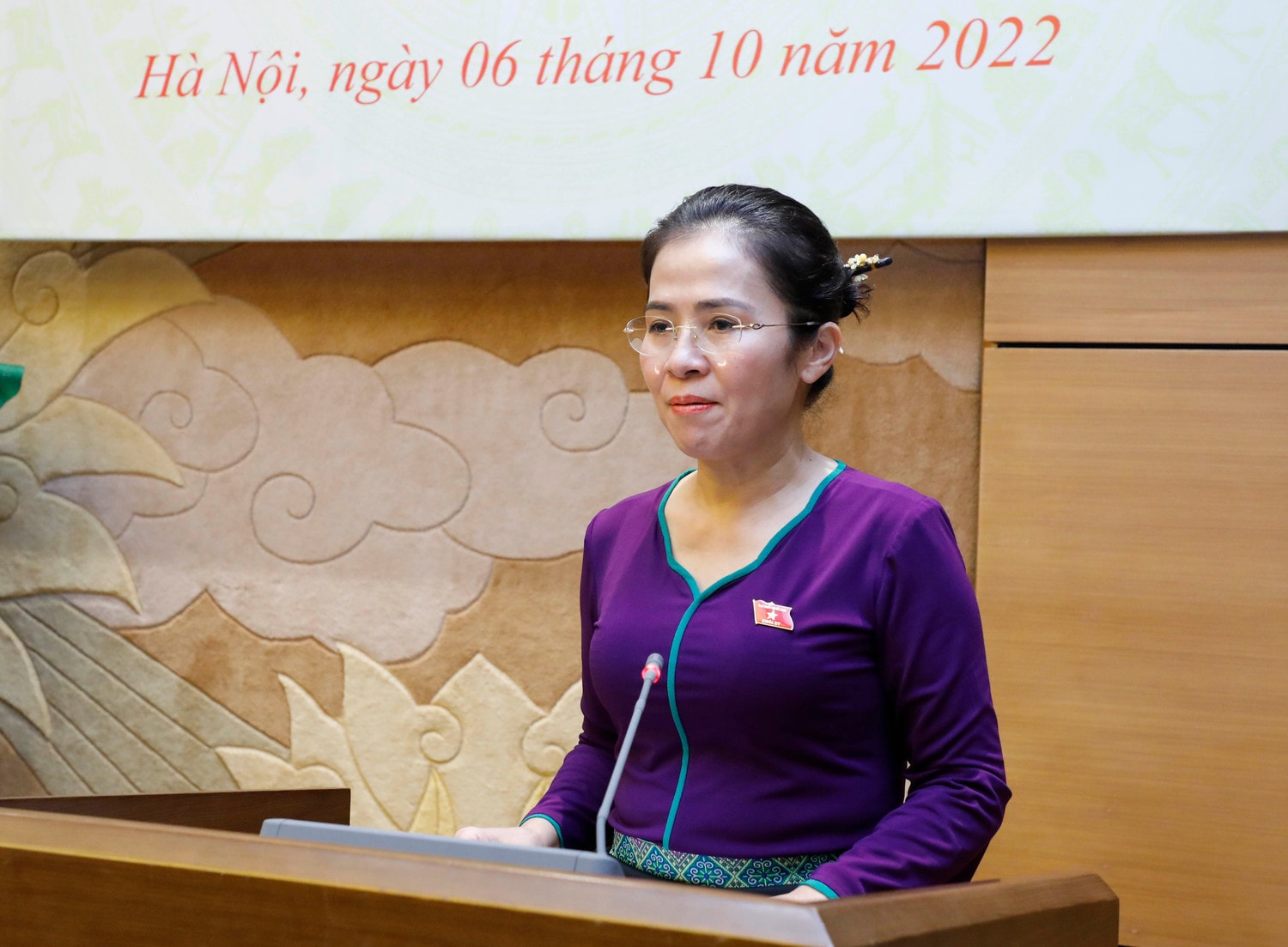 Phó Chủ tịch Thường trực Quốc hội Trần Thanh Mẫn gặp mặt nữ lãnh đạo, nữ đại biểu Quốc hội, HĐND tỉnh Nghệ An -0