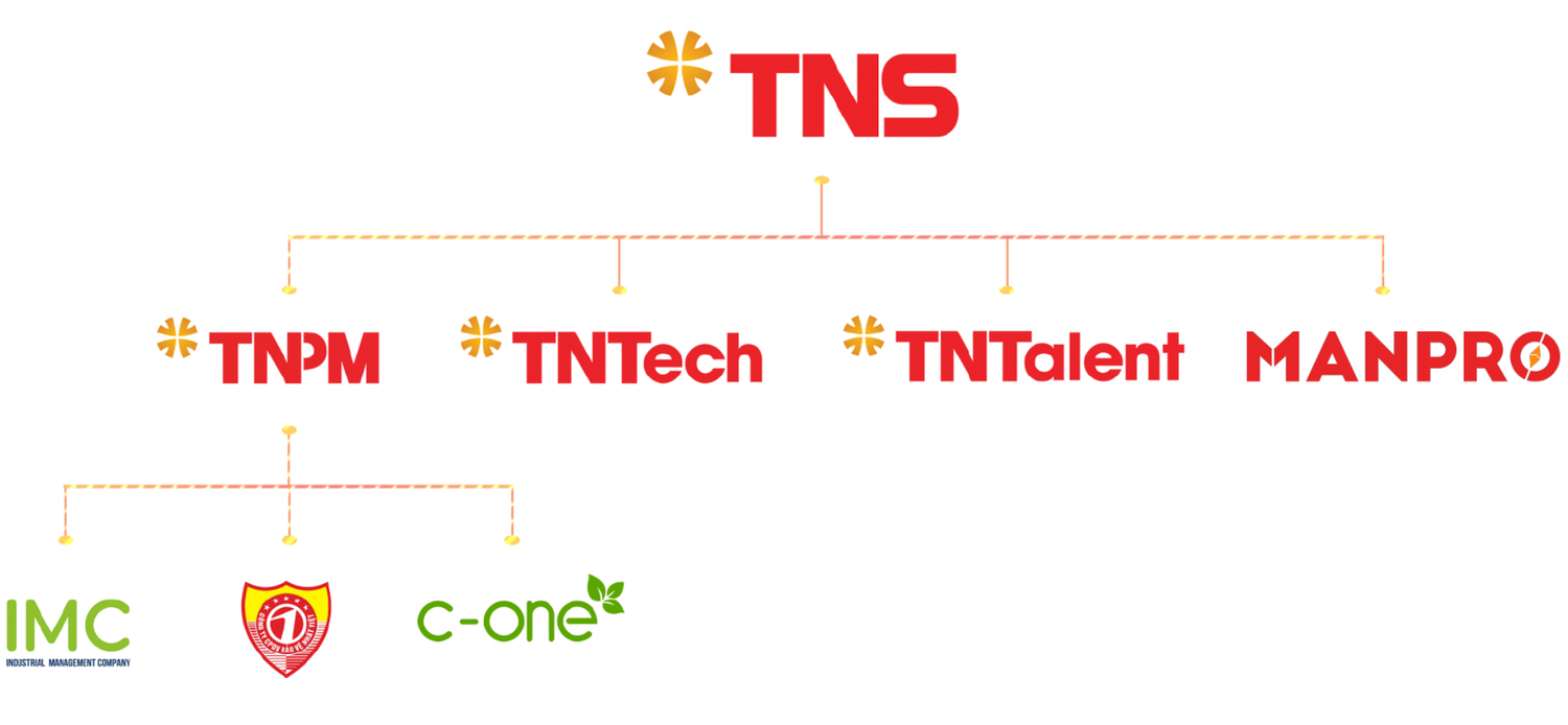 TNS Holdings: Doanh thu hoạt động tài chính đi lùi, dòng tiền kinh doanh âm -0