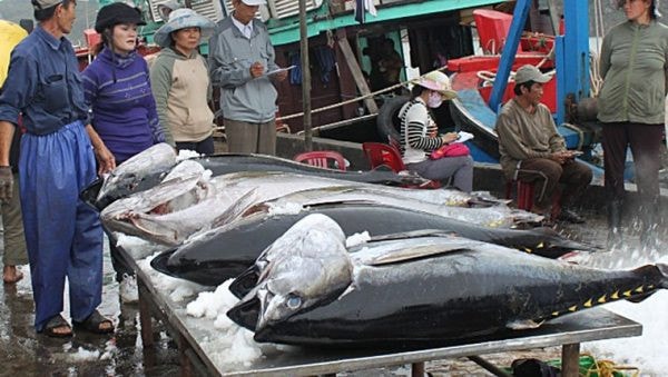 Việc ứng dụng công nghệ bảo quản trên tàu làm cho sản thủy sản luôn được tươi sau các chuyến đi dài ngày