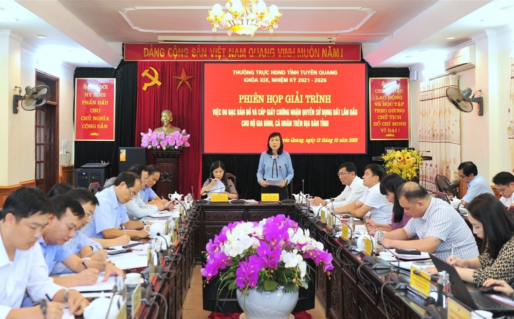 Ủy viên Ban Thường vụ Tỉnh ủy, Phó Chủ tịch Thường trực HĐND tỉnh Phạm Thị Minh Xuân phát biểu tại phiên họp - ẢNH THANH PHÚC