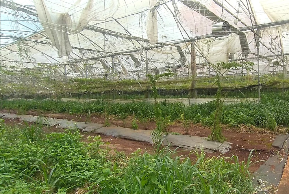 Thanh tra tỉnh Đồng Nai đã quyết định thanh tra toàn diện 3 dự án do Sở Khoa học và Công nghệ làm chủ đầu tư tại KCN cao công nghệ sinh học Đồng Nai. Lãng phí hàng trăm tỷ đồng ngân sách tại Dự án Khu công nghệ sinh học Đồng Nai