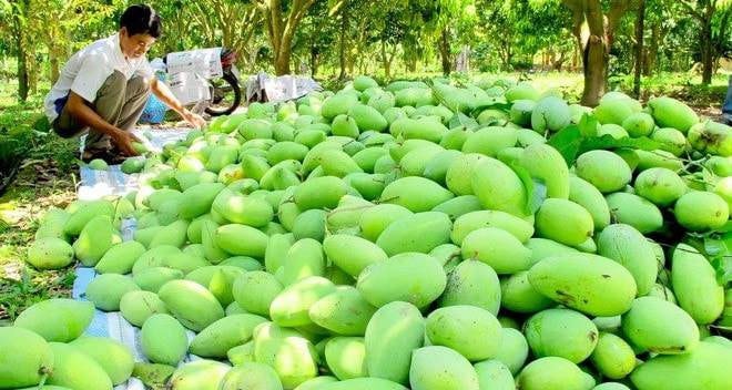 Hợp tác xã liên kết chuỗi giá trị giúp giảm chi phí, nâng cao giá trị sản phẩm -0