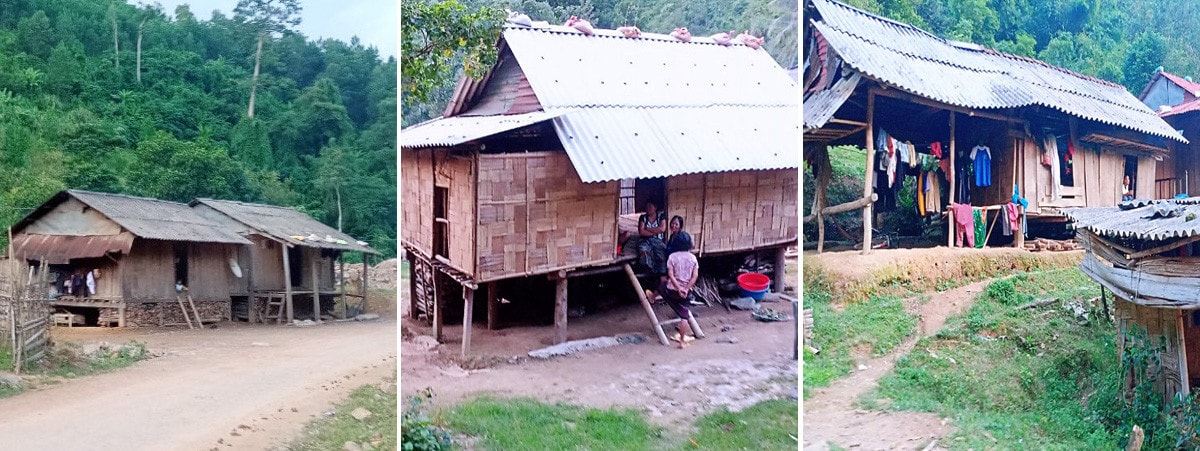 Bài 1: Khan hiếm nguồn “hạt giống đỏ”? -0