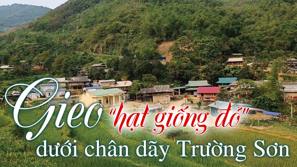 Bài 1: Khan hiếm nguồn “hạt giống đỏ”? -0