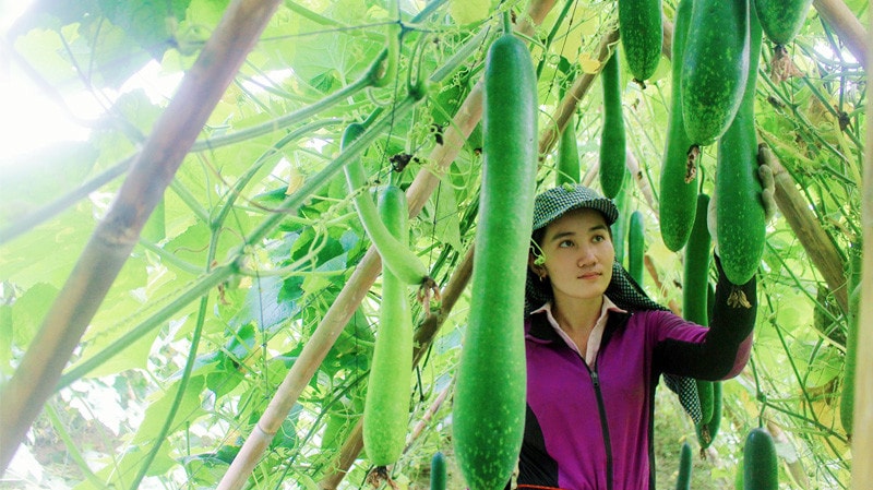 Bài 2: “Cầu nối” giữa Đảng với bản làng -0