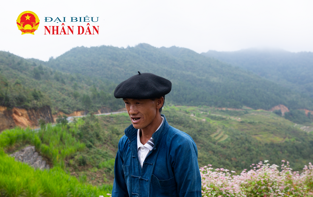 Hà Giang mùa hoa tam giác mạch -0