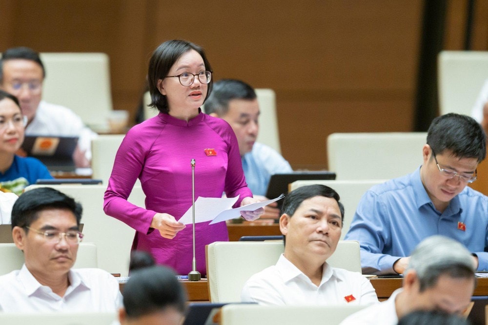 Phó Trưởng Đoàn ĐBQH tỉnh Nghệ An Thái Thị An Chung phát biểu tại hội trường sáng ngày 1.11 Giám sát chặt chẽ dòng tiền tham gia đấu giá -0
