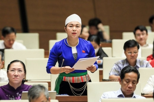 ĐBQH Đặng Bích Ngọc (Hòa Bình): Phiên chất vấn đáp ứng được kỳ vọng của cử tri -0