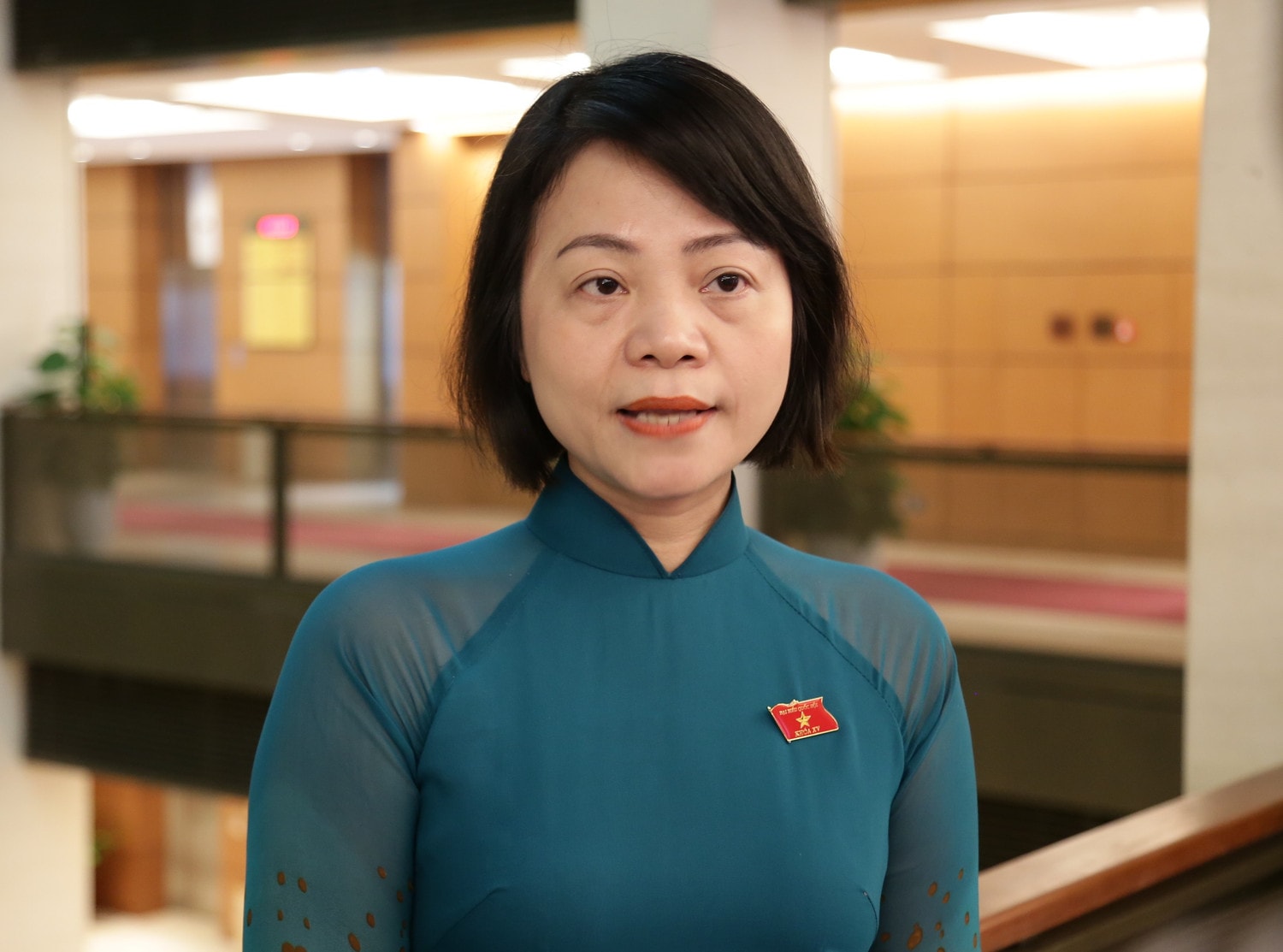 Đại biểu Quốc hội Nguyễn Thanh Cầm (Tiền Giang) Thực hiện đồng bộ các giải pháp -0