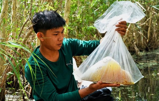 Nghề ăn ong của người dân U Minh hạ ngày càng được nhiều người biết đến 