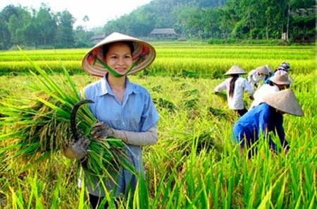 Bạch Văn Tín: Doanh nhân chuyên viết thơ lục bát -0