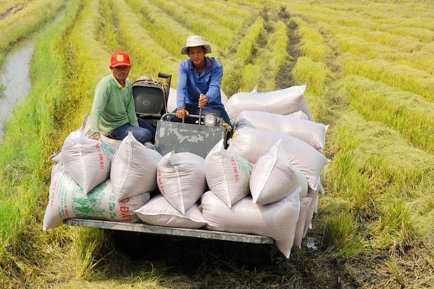 Phát triển kinh tế tập thể bằng nội lực và cách làm sáng tạo -0