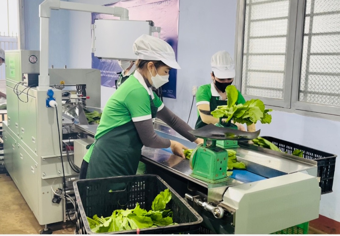 Khuyến công góp phần tích cực vào xóa đói, giảm nghèo 