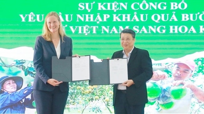Xuất khẩu lô bưởi đầu tiên sang Hoa Kỳ