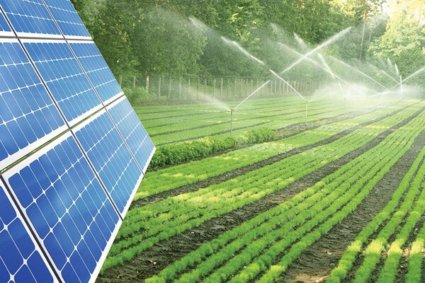 KHCN sẽ là chìa khóa giúp nông nghiệp phát triển bền vững