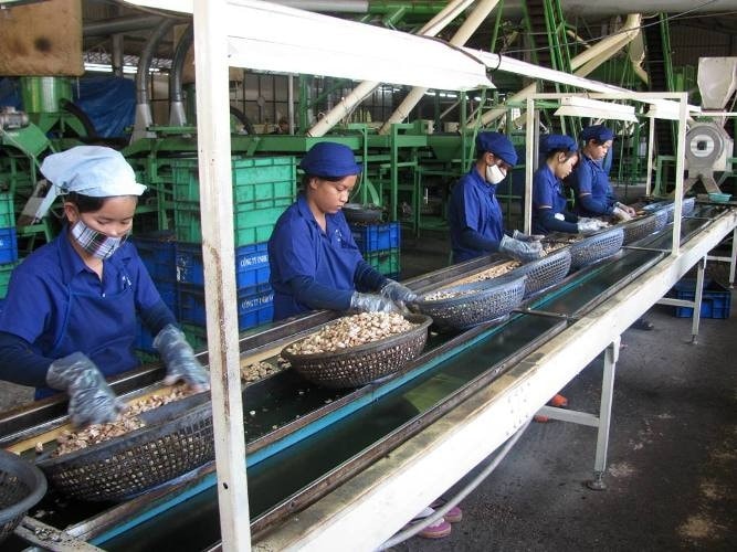 Bà Rịa- Vũng Tàu tập trung giải pháp nâng cao chất lượng khuyến công