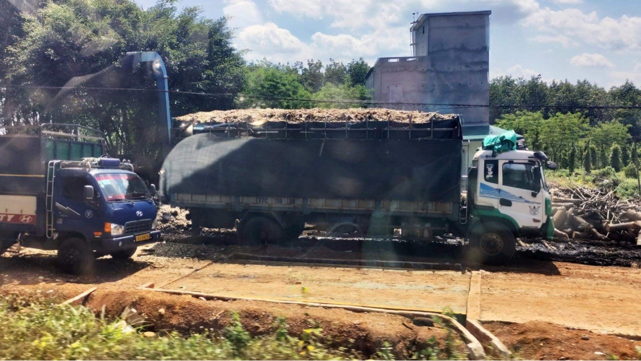 Băm gỗ xuất khẩu, rừng tự nhiên tại Gia Lai đang thành củi vụn -0