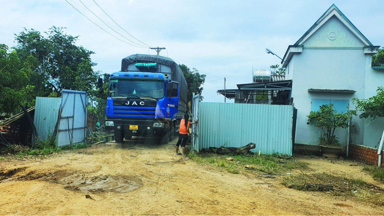 Băm gỗ xuất khẩu, rừng tự nhiên tại Gia Lai đang thành củi vụn -0