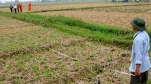 Dân chủ và công khai trong quy hoạch, kế hoạch sử dụng đất -0