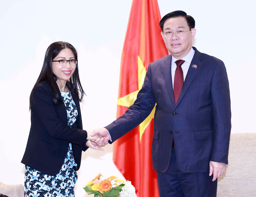 Làm sâu sắc hơn nữa quan hệ Đối tác chiến lược Việt Nam - New Zealand -0