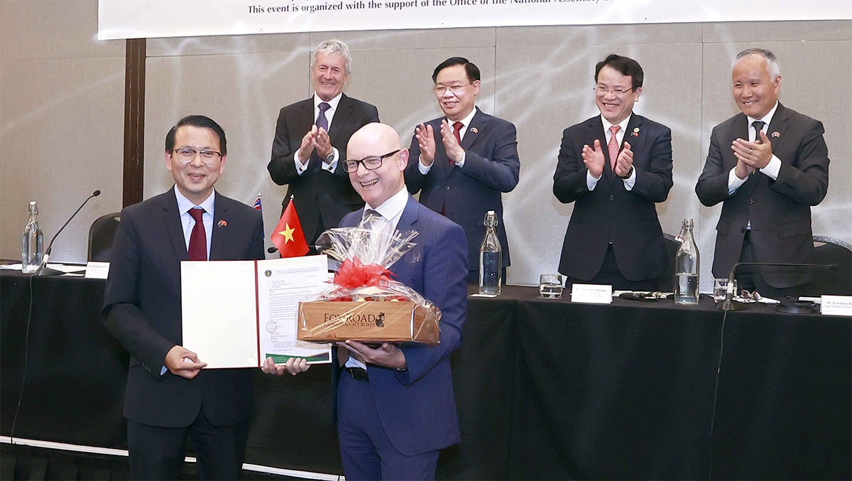 Làm sâu sắc hơn nữa quan hệ Đối tác chiến lược Việt Nam - New Zealand - 0