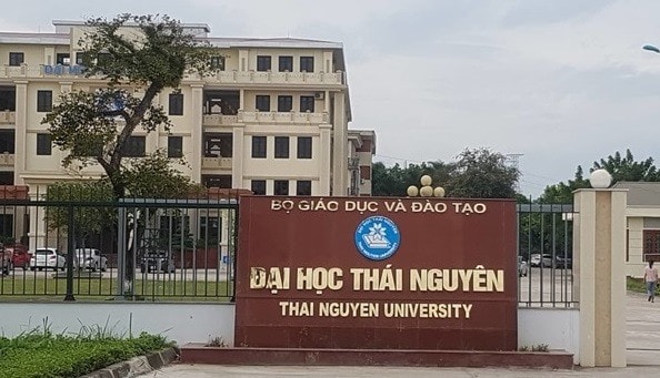 “Đại học” đa lĩnh vực phải gắn kết và thực hiện sứ mệnh chung -0