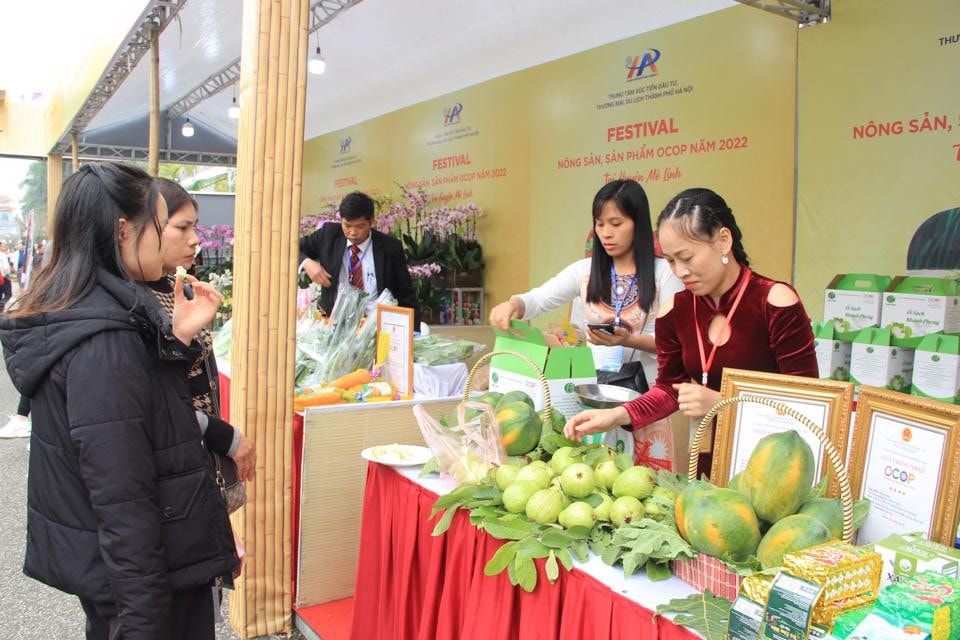 Khai mạc Lễ hội hoa Mê Linh và Festival nông sản, sản phẩm OCOP Hà Nội -0