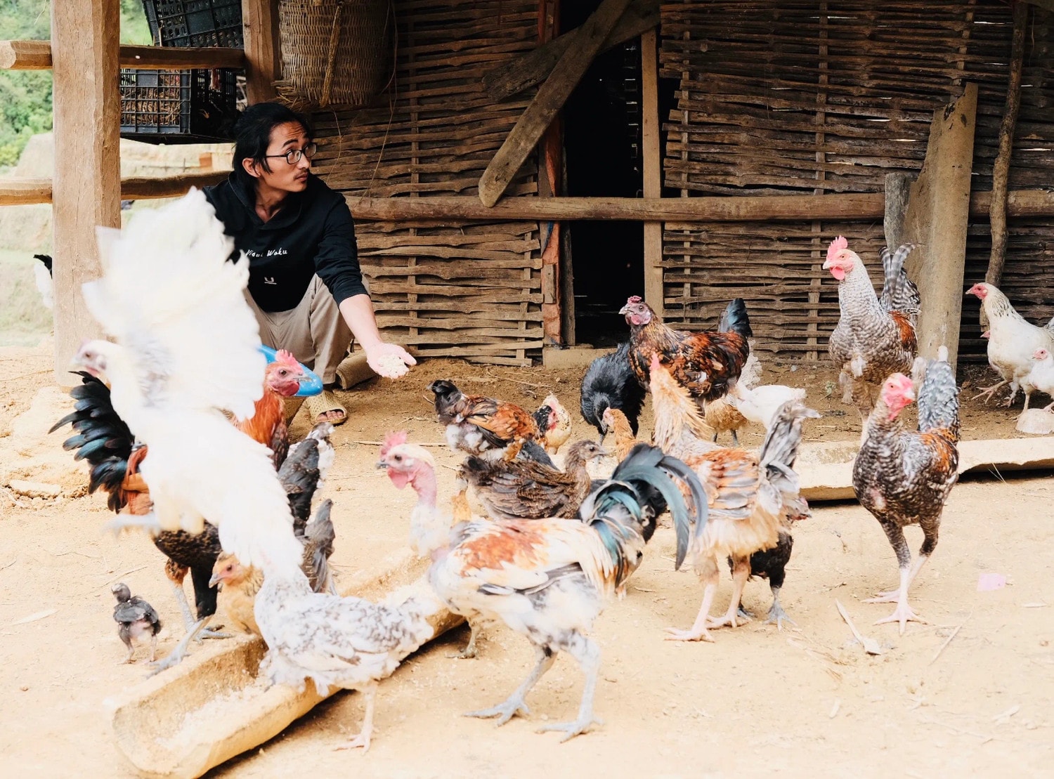 Trong dự án Ná Nả, Khang A Tủa là người khôi phục giống gà xương đen của người Mông - Ảnh: NVCC