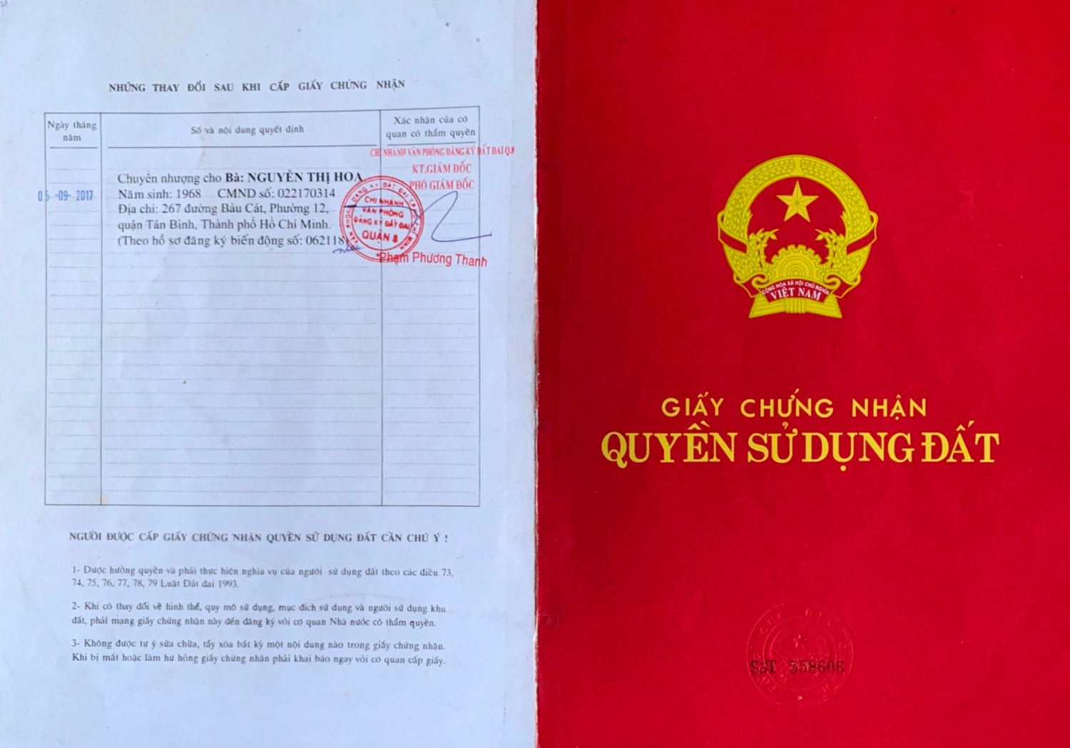 TP.HCM: Hàng loạt căn nhà kiên cố xây dựng trên đất nông nghiệp