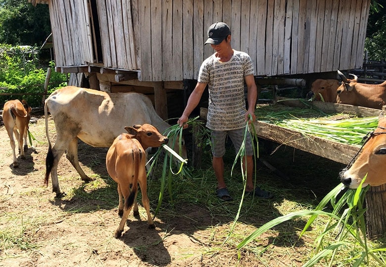 Phú Yên quan tâm hỗ trợ đời sống, kinh tế người dân vùng đồng bào dân tộc thiểu số -0