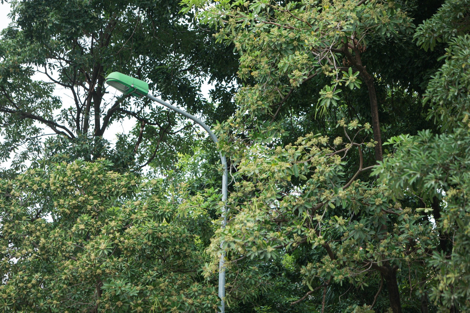 ldh_1555.jpg -0