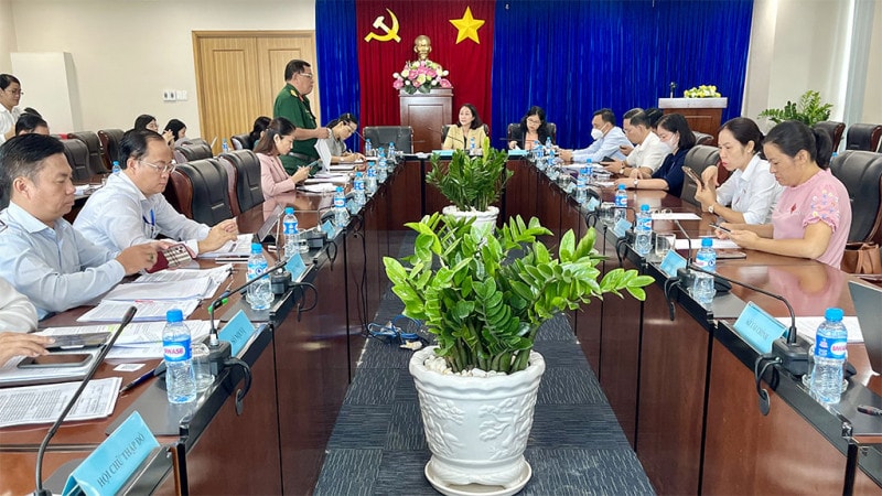 Ban Pháp chế HĐND tỉnh Bình Dương thẩm tra các nội dung trình Kỳ họp cuối năm 2022 - ẢNH N.NHẬT